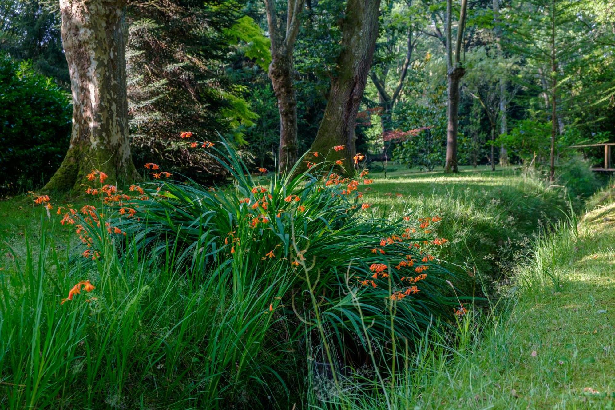 サン・ポール・レ・ダックス Parc De L'Aiguade Bed & Breakfast エクステリア 写真