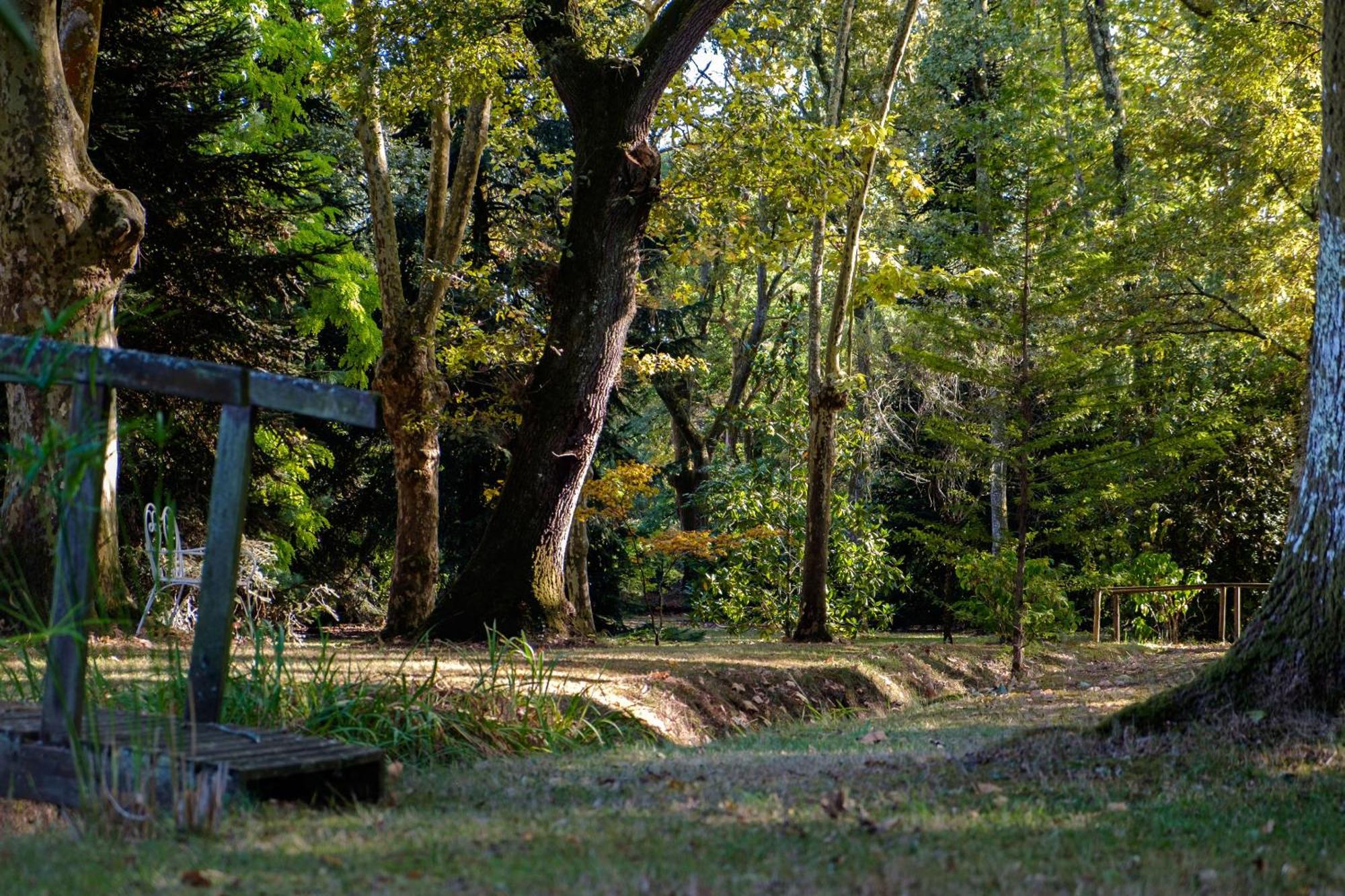 サン・ポール・レ・ダックス Parc De L'Aiguade Bed & Breakfast エクステリア 写真