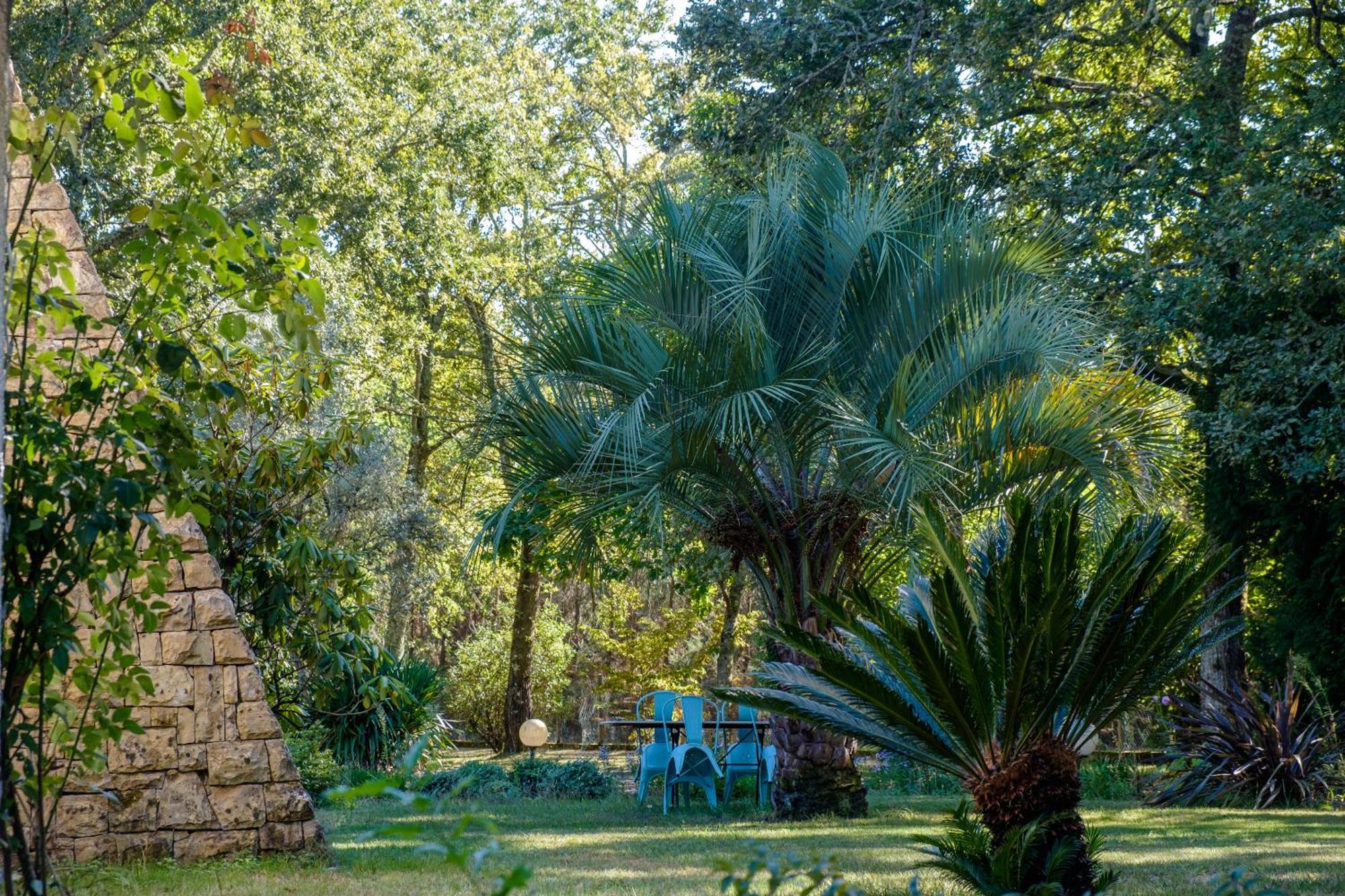 サン・ポール・レ・ダックス Parc De L'Aiguade Bed & Breakfast エクステリア 写真