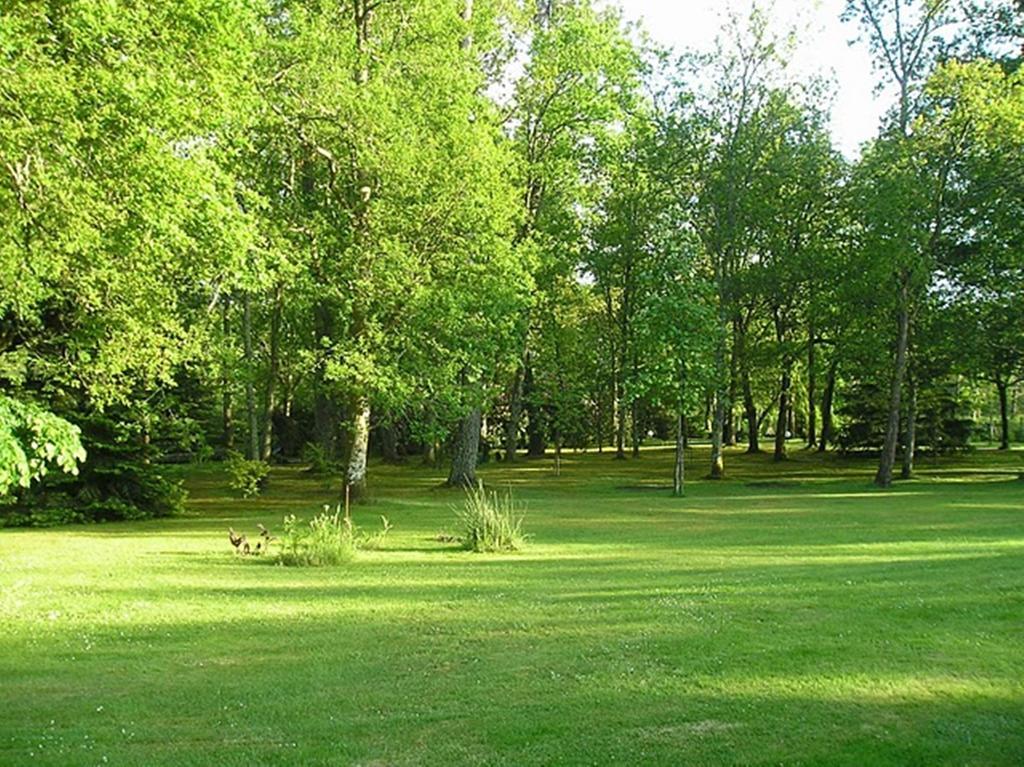 サン・ポール・レ・ダックス Parc De L'Aiguade Bed & Breakfast 部屋 写真