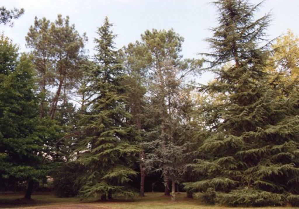 サン・ポール・レ・ダックス Parc De L'Aiguade Bed & Breakfast エクステリア 写真